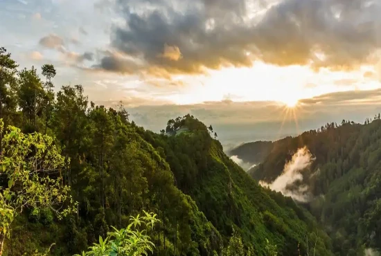 A Weekend in Bandung: Food, Nature, and a Cozy Vibe