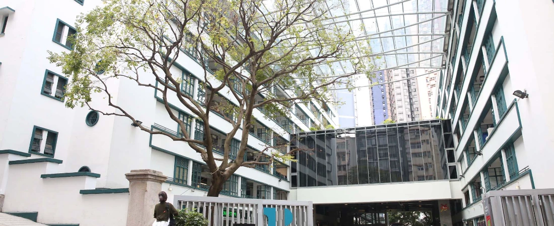 Discovering the Art Scene in Sheung Wan: Galleries and Street Art