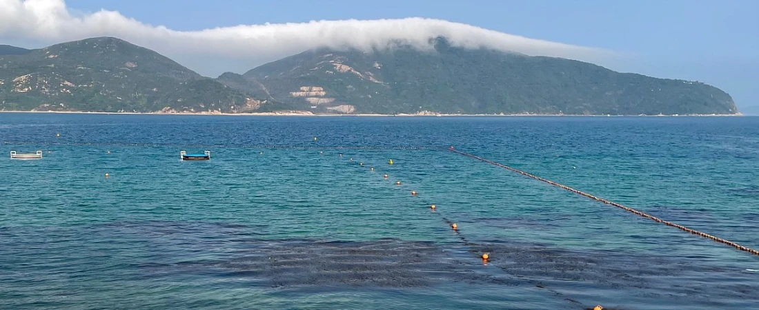 A Day Trip to Stanley: Markets, Beaches, and Local Cuisine