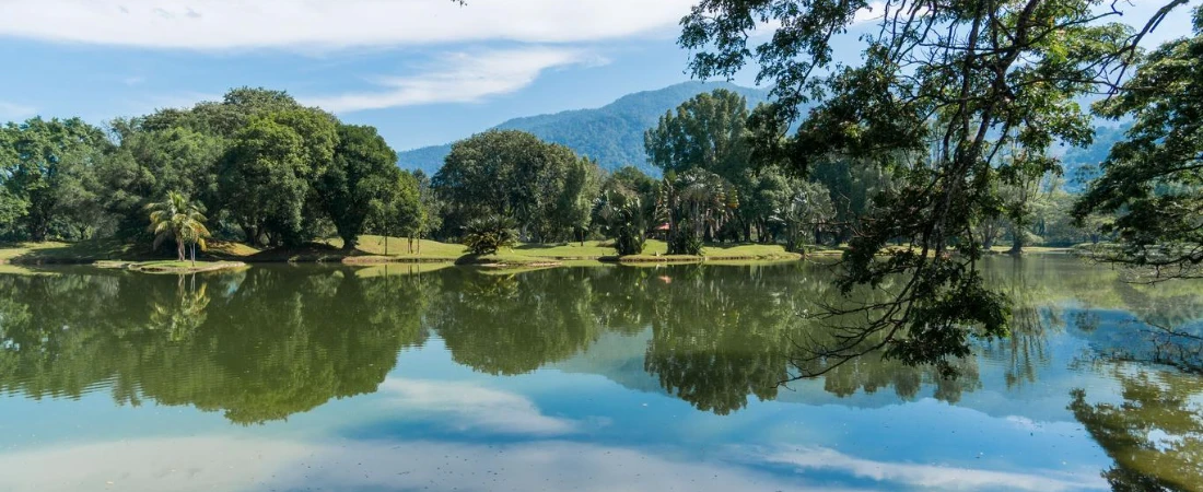 Why Taiping Is One of Malaysia’s Most Peaceful Towns