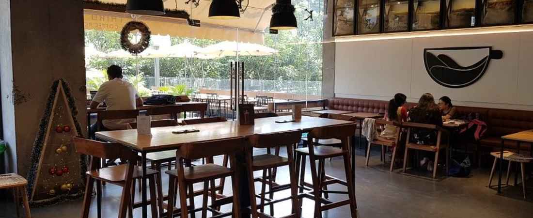 The Best of Bangalore: Garden City Parks, Cafés, and Tech Buzz