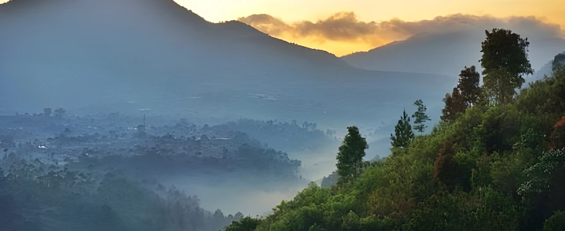 A Weekend in Bandung: Food, Nature, and a Cozy Vibe
