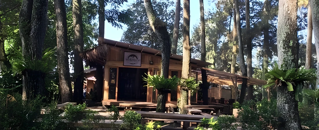 A Weekend in Bandung: Food, Nature, and a Cozy Vibe